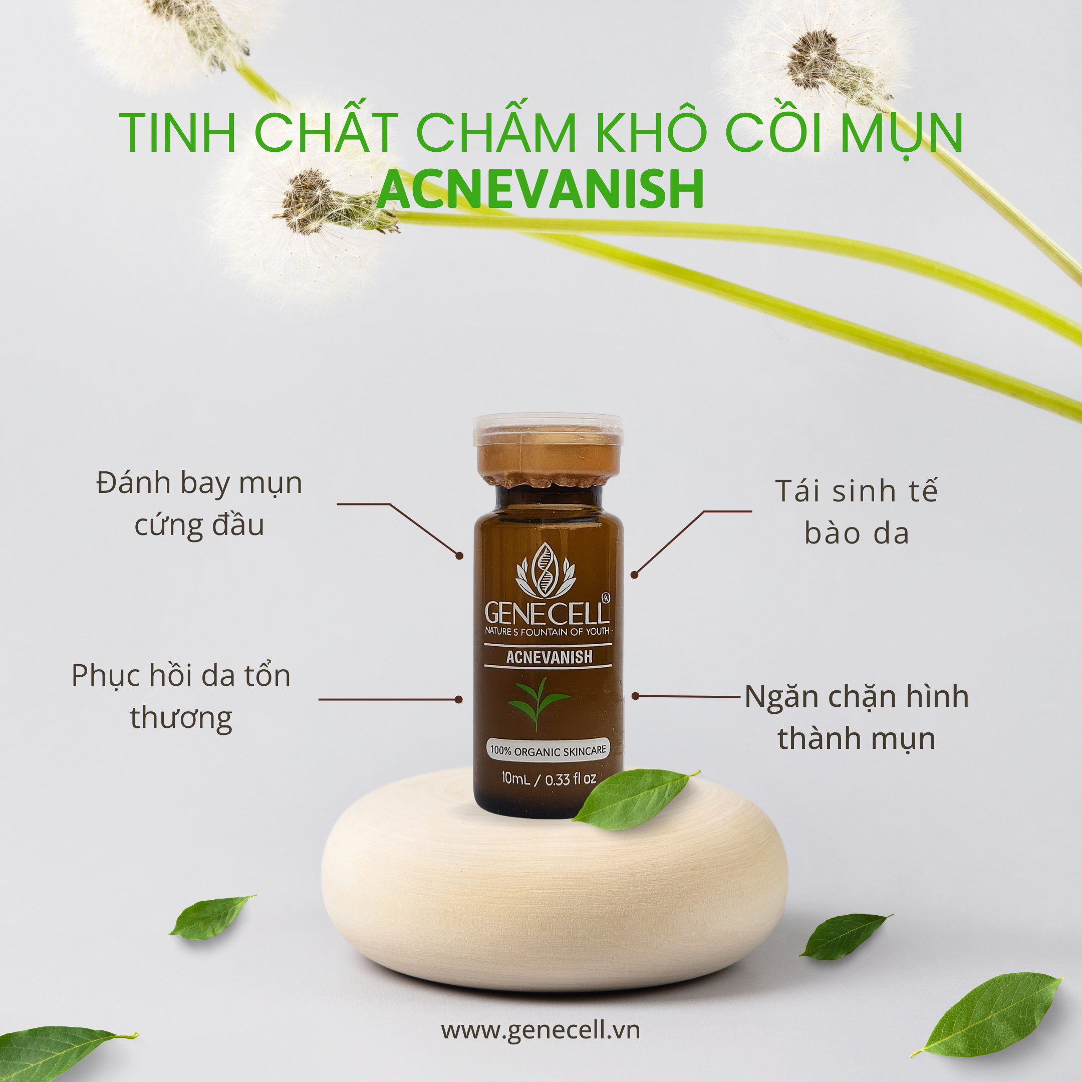 CHẤM KHÔ CỒI MỤN ACNEVANISH