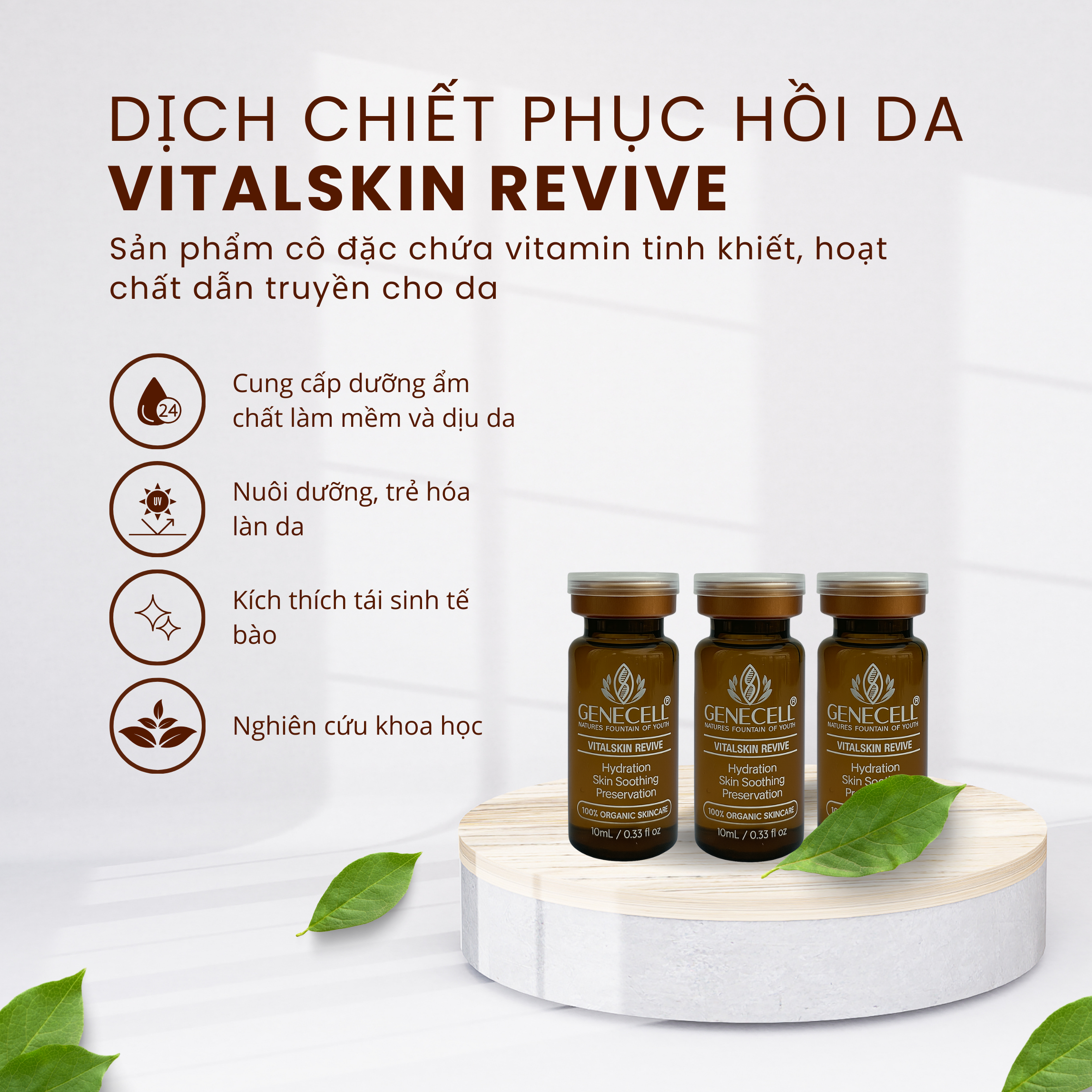 DỊCH CHIẾT PHỤC HỒI DA VITALSKIN REVIVE